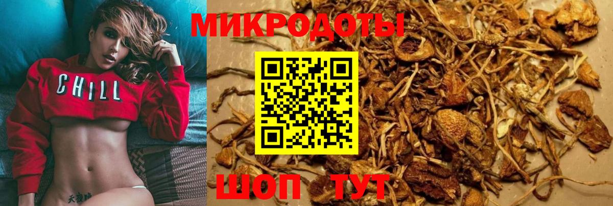 Галлюциногенные грибы ЛСД Бахчисарай